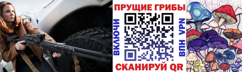 Псилоцибиновые грибы Psilocybine cubensis  Купить закладки  Алексеевка 